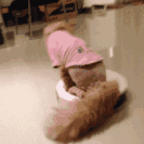 微信图片_20180225093128.gif